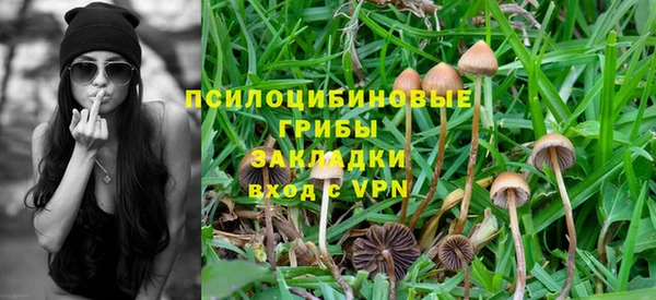 МДПВ Майский