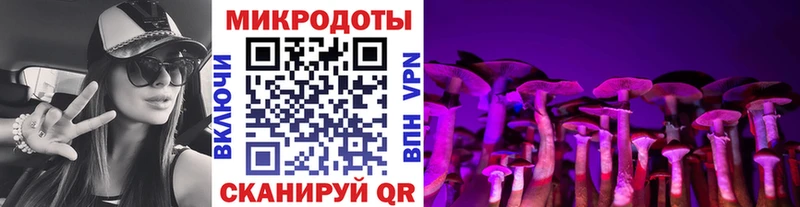 Псилоцибиновые грибы GOLDEN TEACHER  Монино 